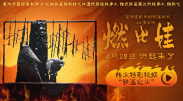 91这里只有精品