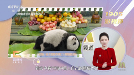 嗯啊 不要啊